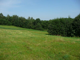 Parduodamas sklypas Daneikių k., Zarasų r. sav., 116 a ploto 12