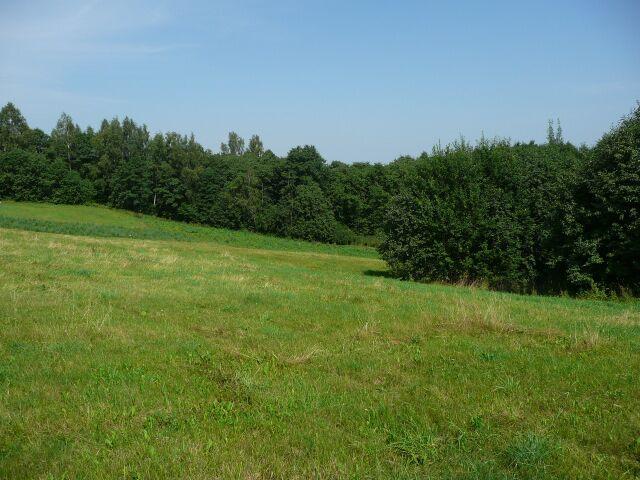 Parduodamas sklypas Daneikių k., Zarasų r. sav., 116 a ploto 12