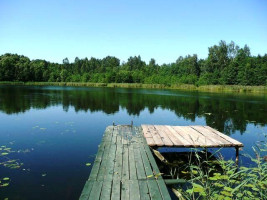 Parduodamas sklypas Daneikių k., Zarasų r. sav., 116 a ploto 5