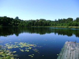 Parduodamas sklypas Daneikių k., Zarasų r. sav., 116 a ploto 6