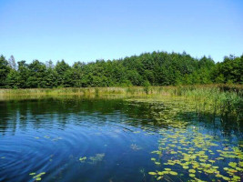 Parduodamas sklypas Daneikių k., Zarasų r. sav., 116 a ploto 7