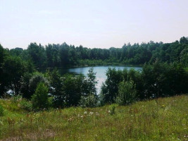 Parduodamas sklypas Daneikių k., Zarasų r. sav., 116 a ploto 9