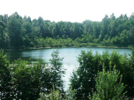 Parduodamas sklypas Daneikių k., Zarasų r. sav., 116 a ploto 10