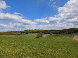 Parduodamas sklypas Šapaukos k., Zarasų r. sav., 200 a ploto 3