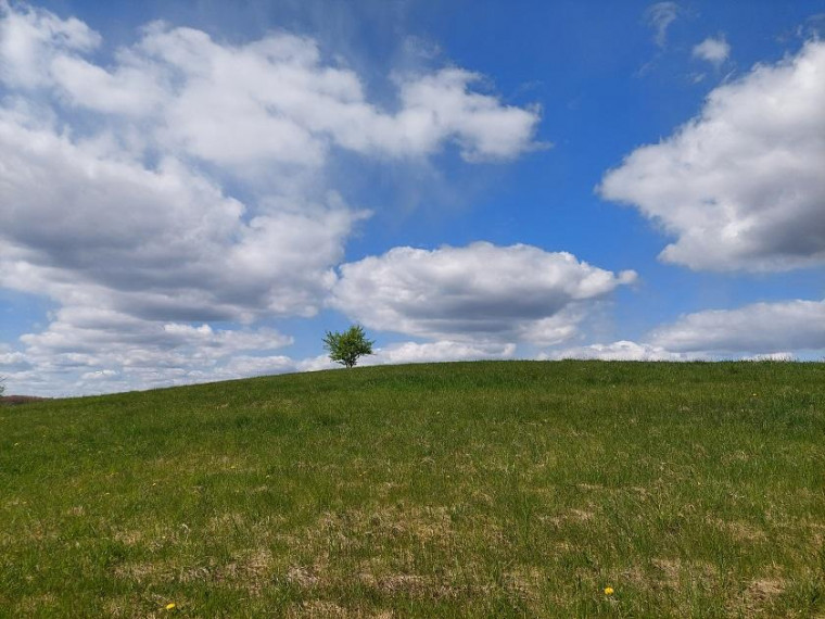 Parduodamas sklypas Šapaukos k., Zarasų r. sav., 200 a ploto 4