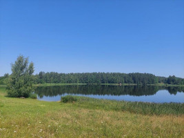 Parduodamas sklypas Maneičių k., Utenos r. sav., 94 a ploto 11