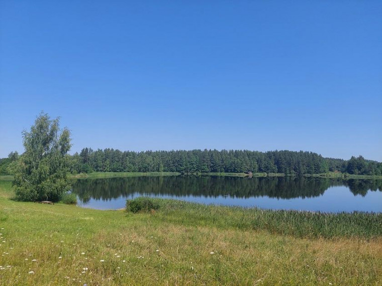 Parduodamas sklypas Maneičių k., Utenos r. sav., 94 a ploto 11