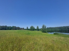 Parduodamas sklypas Maneičių k., Utenos r. sav., 94 a ploto 12