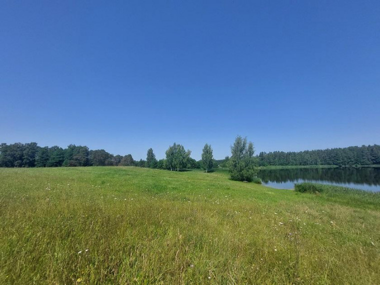 Parduodamas sklypas Maneičių k., Utenos r. sav., 94 a ploto 12