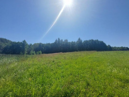 Parduodamas sklypas Maneičių k., Utenos r. sav., 94 a ploto 13