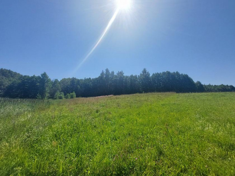 Parduodamas sklypas Maneičių k., Utenos r. sav., 94 a ploto 13