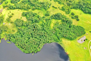 Parduodamas sklypas Maneičių k., Utenos r. sav., 94 a ploto 5