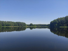 Parduodamas sklypas Maneičių k., Utenos r. sav., 94 a ploto 8