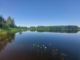 Parduodamas sklypas Maneičių k., Utenos r. sav., 94 a ploto 9