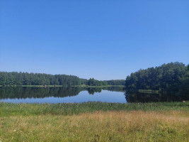 Parduodamas sklypas Maneičių k., Utenos r. sav., 94 a ploto 10