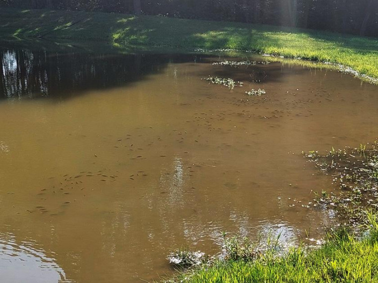 Parduodamas namas Šeimyniškių k., Utenos r. sav., 150.00 m² ploto 2 kambariai 19