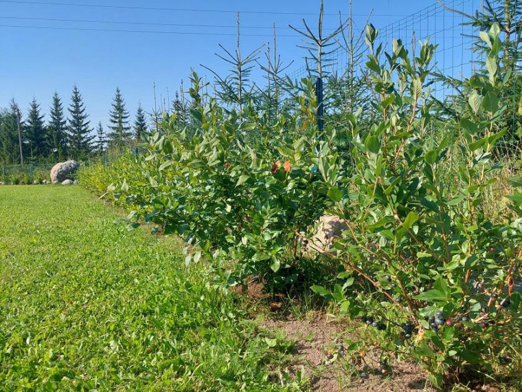 Parduodamas namas Šeimyniškių k., Utenos r. sav., 150.00 m² ploto 2 kambariai 22