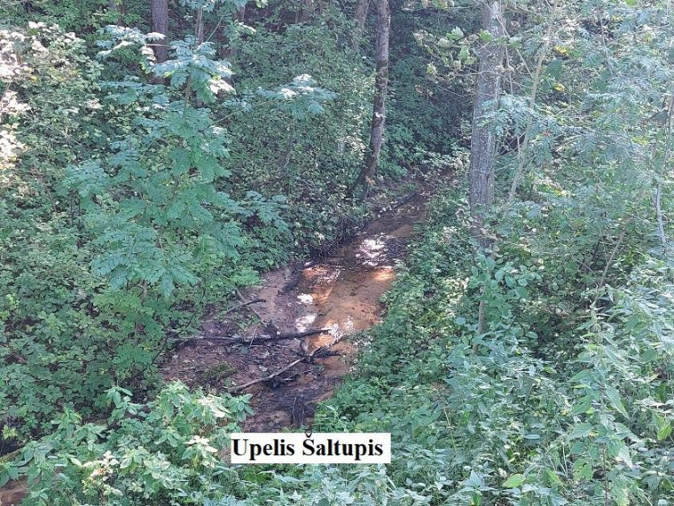 Parduodamas namas Šeimyniškių k., Utenos r. sav., 150.00 m² ploto 2 kambariai 25