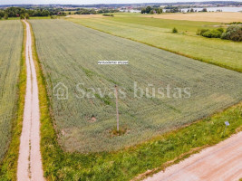 Parduodamas  sklypas Gluosnių g., Meškių k., Šiaulių r. sav., 108.5 a ploto 8