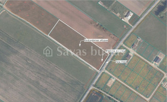 Parduodamas  sklypas Gluosnių g., Meškių k., Šiaulių r. sav., 108.5 a ploto 9