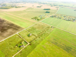 Parduodamas kitos paskirties sklypas Pamolainių, Lepšių k., Panevėžio r. sav., 12.68 a ploto 13