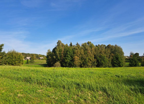 Parduodamas sklypas Garnelių k., Utenos r. sav., 30 a ploto