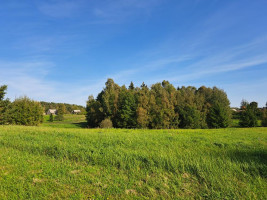 Parduodamas sklypas Garnelių k., Utenos r. sav., 30 a ploto 1