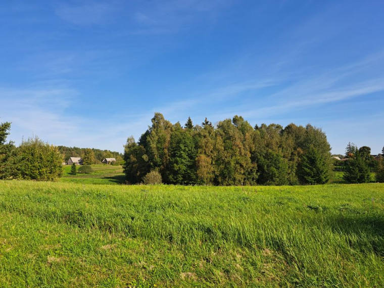 Parduodamas sklypas Garnelių k., Utenos r. sav., 30 a ploto 1