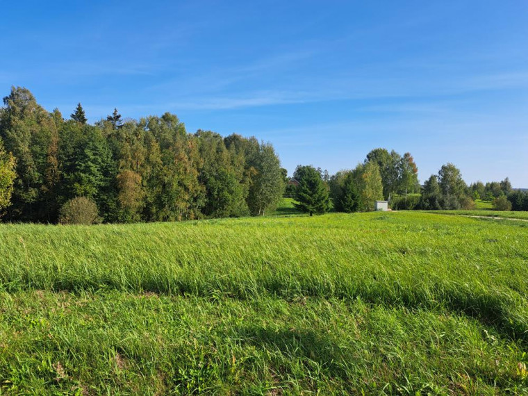 Parduodamas sklypas Garnelių k., Utenos r. sav., 30 a ploto 2