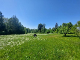 Parduodamas namas Avižieniškio k., Utenos r. sav., 78.00 m² ploto 3 kambariai 12