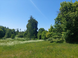 Parduodamas namas Avižieniškio k., Utenos r. sav., 78.00 m² ploto 3 kambariai 13