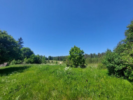 Parduodamas namas Avižieniškio k., Utenos r. sav., 78.00 m² ploto 3 kambariai 14