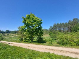 Parduodamas namas Avižieniškio k., Utenos r. sav., 78.00 m² ploto 3 kambariai 15