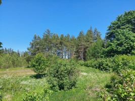 Parduodamas namas Avižieniškio k., Utenos r. sav., 78.00 m² ploto 3 kambariai 16