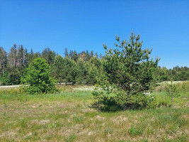 Parduodamas namas Avižieniškio k., Utenos r. sav., 78.00 m² ploto 3 kambariai 17