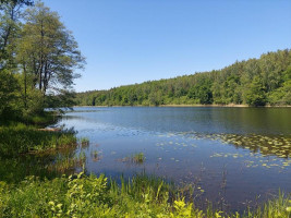 Parduodamas namas Avižieniškio k., Utenos r. sav., 78.00 m² ploto 3 kambariai 20