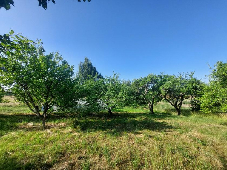 Parduodamas namas Petkūnų k., Zarasų r. sav., 89.00 m² ploto 5 kambariai 22