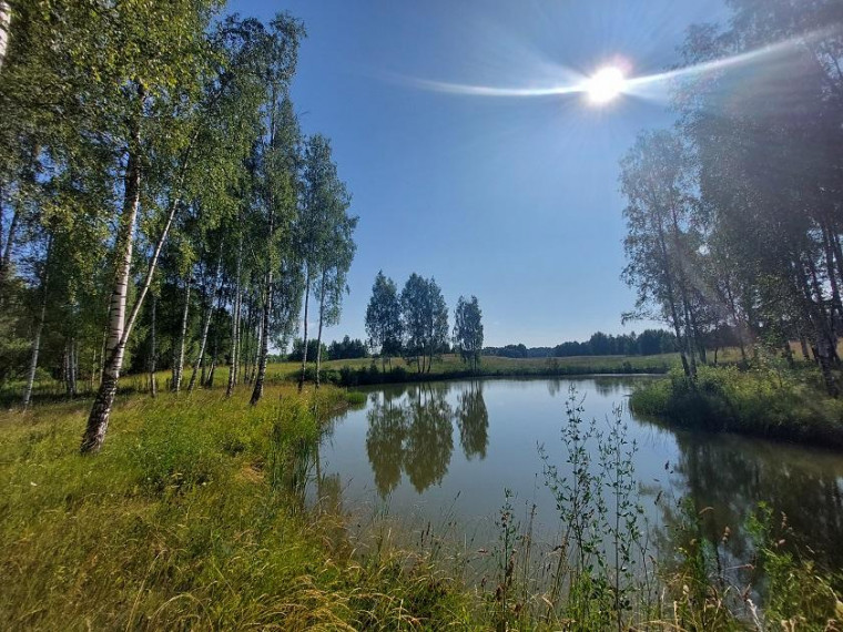 Parduodamas namas Petkūnų k., Zarasų r. sav., 89.00 m² ploto 5 kambariai 25