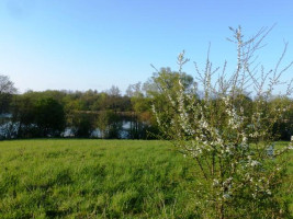 Parduodamas sklypas Smilgių k., Zarasų r. sav., 270.00 a ploto 7