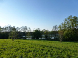Parduodamas sklypas Smilgių k., Zarasų r. sav., 270.00 a ploto 9