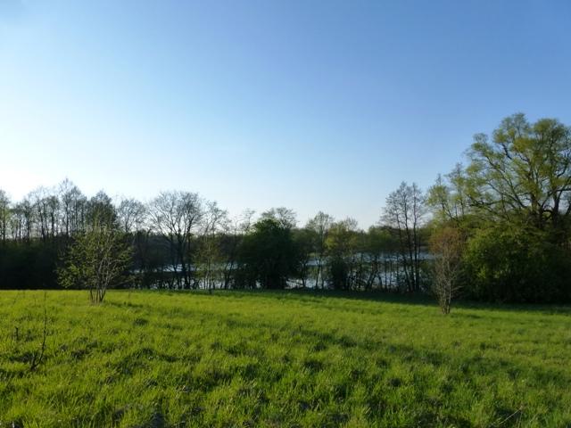 Parduodamas sklypas Smilgių k., Zarasų r. sav., 270.00 a ploto 9