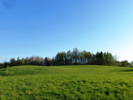 Parduodamas sklypas Smilgių k., Zarasų r. sav., 270.00 a ploto 10