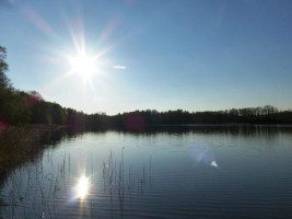Parduodamas sklypas Smilgių k., Zarasų r. sav., 270.00 a ploto 11