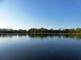 Parduodamas sklypas Smilgių k., Zarasų r. sav., 270.00 a ploto 12