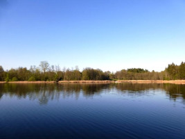 Parduodamas sklypas Smilgių k., Zarasų r. sav., 270.00 a ploto 14