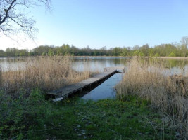 Parduodamas sklypas Smilgių k., Zarasų r. sav., 270.00 a ploto 16