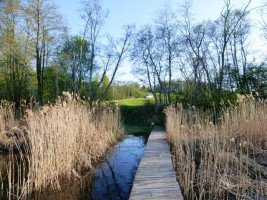 Parduodamas sklypas Smilgių k., Zarasų r. sav., 270.00 a ploto 17