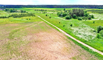 Parduodamas sklypas Juodbalių k., Vilniaus r. sav., 50 a ploto 14