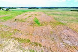 Parduodamas sklypas Juodbalių k., Vilniaus r. sav., 50 a ploto 16