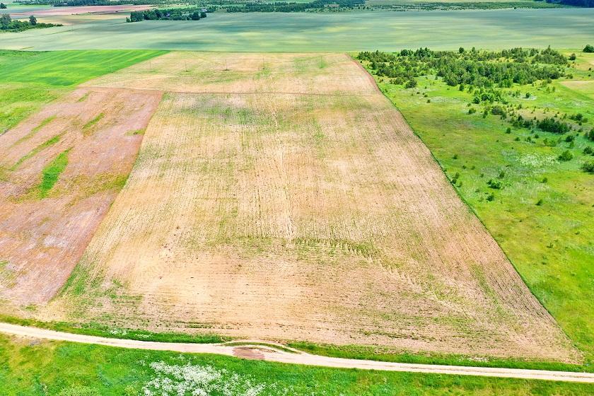 Parduodamas sklypas Juodbalių k., Vilniaus r. sav., 50 a ploto 4